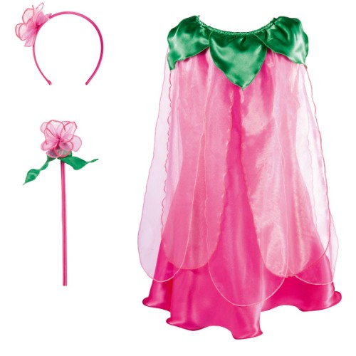 Little Prince carnival costumes – The Little Prince