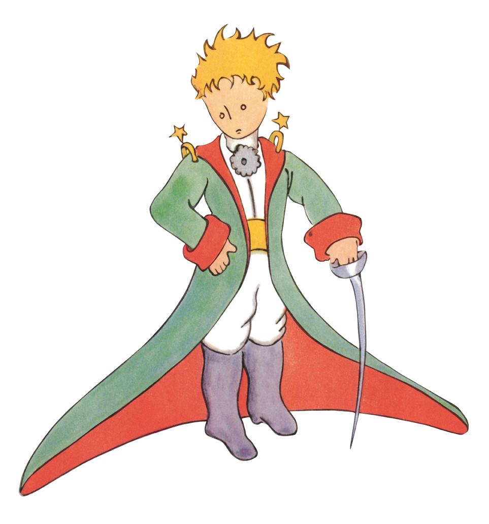 Déguisement petit prince de saint-Exupery - Petit prince - 9 ans